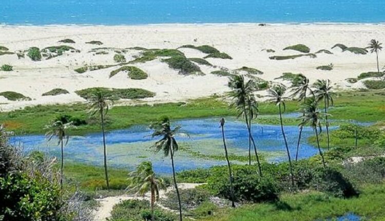 Praia do Coqueiral