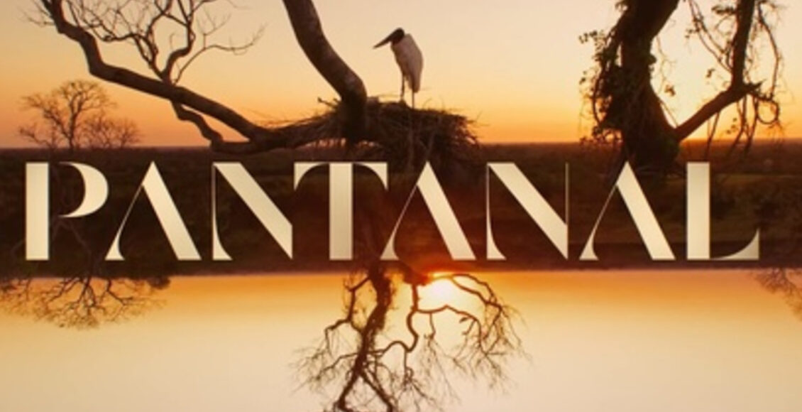 quando passou a novela pantanal