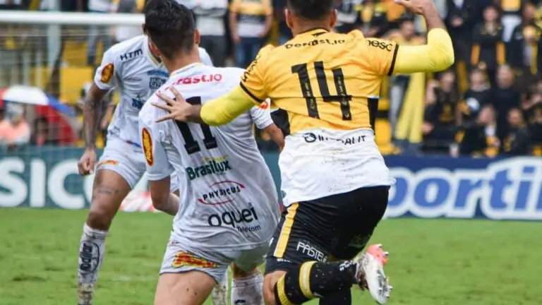 Série B: onde assistir Novorizontino x CRB ao vivo e horário