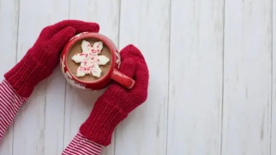 Quando começa o inverno em 2022? Veja datas das estações