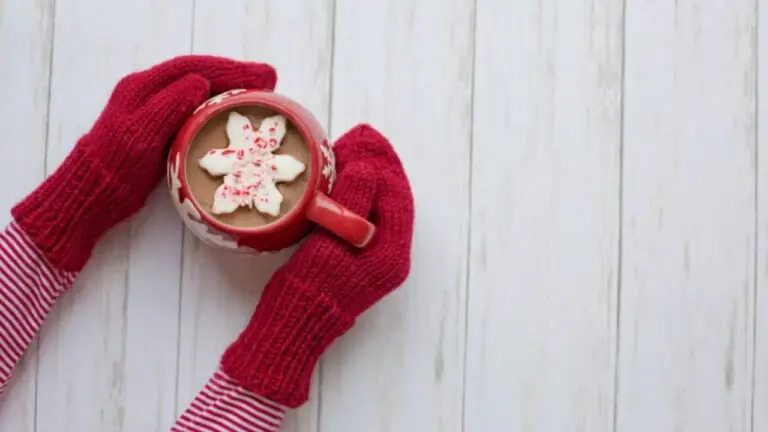 Quando começa o inverno em 2022? Veja datas das estações