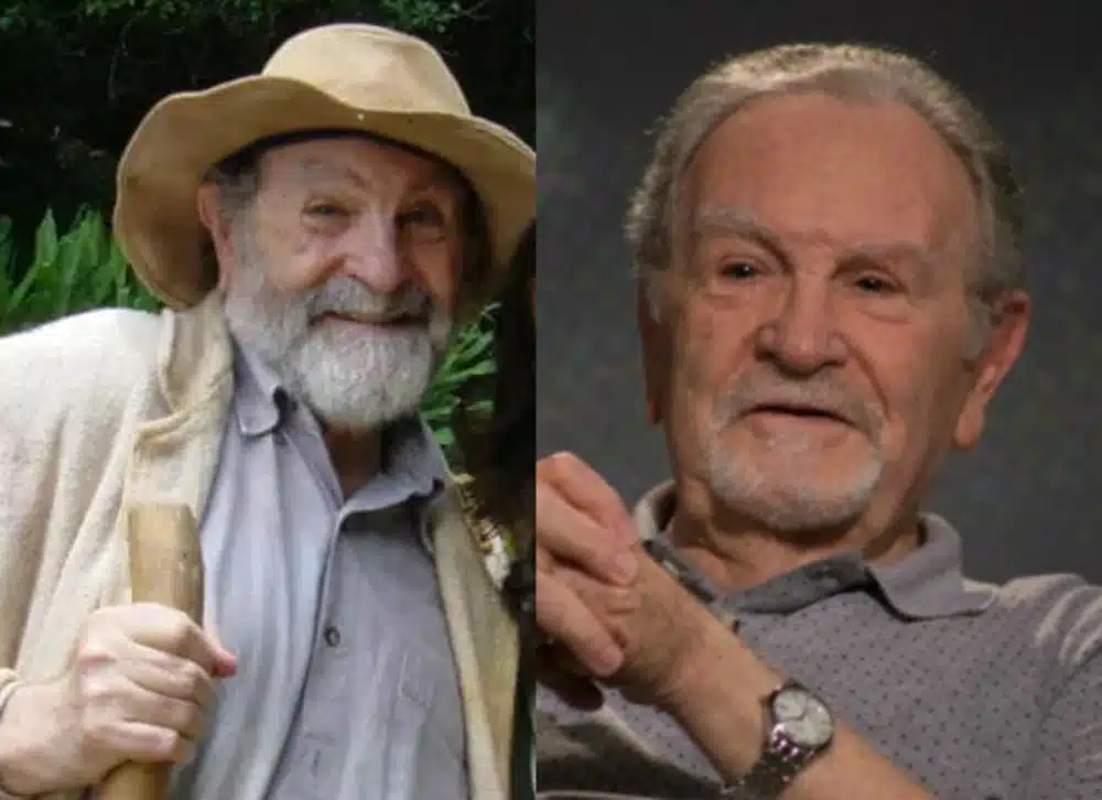 esmeralda novela elenco hoje