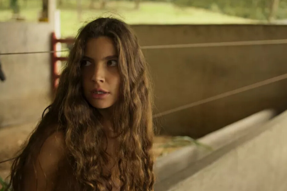 Resumo da novela Pantanal