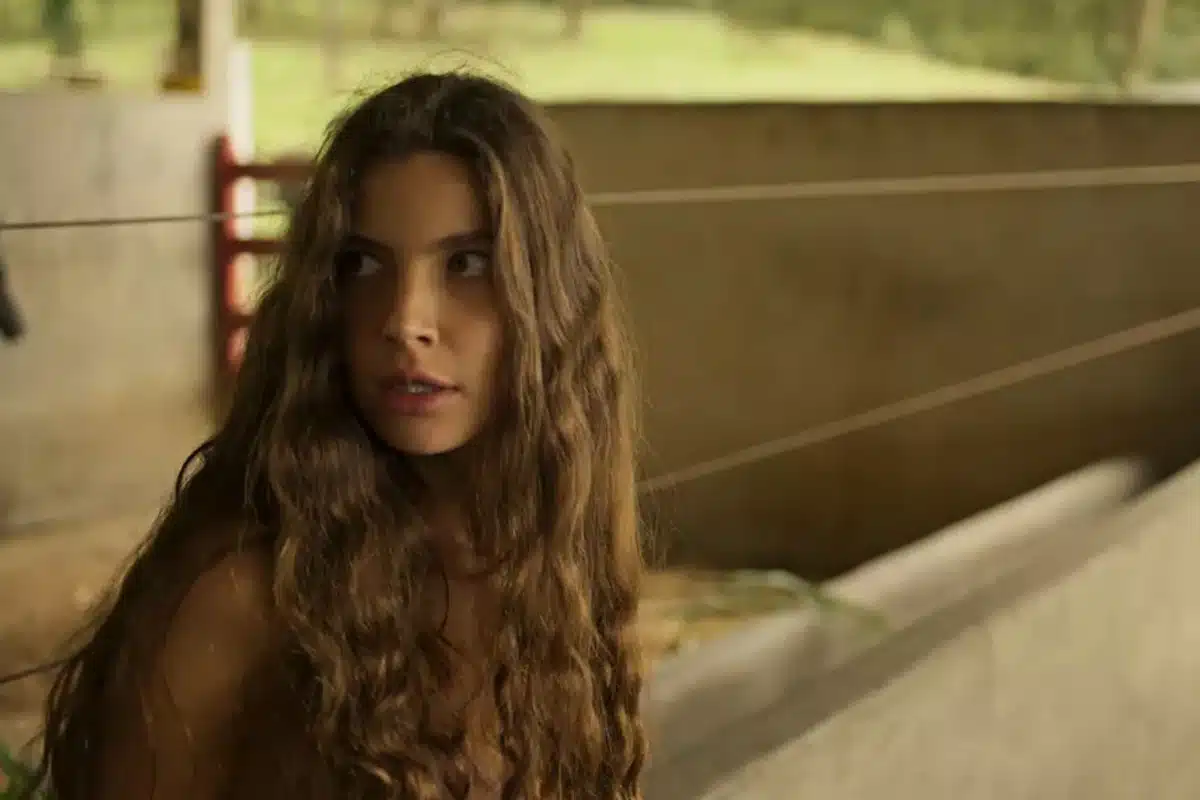 Resumo da novela Pantanal