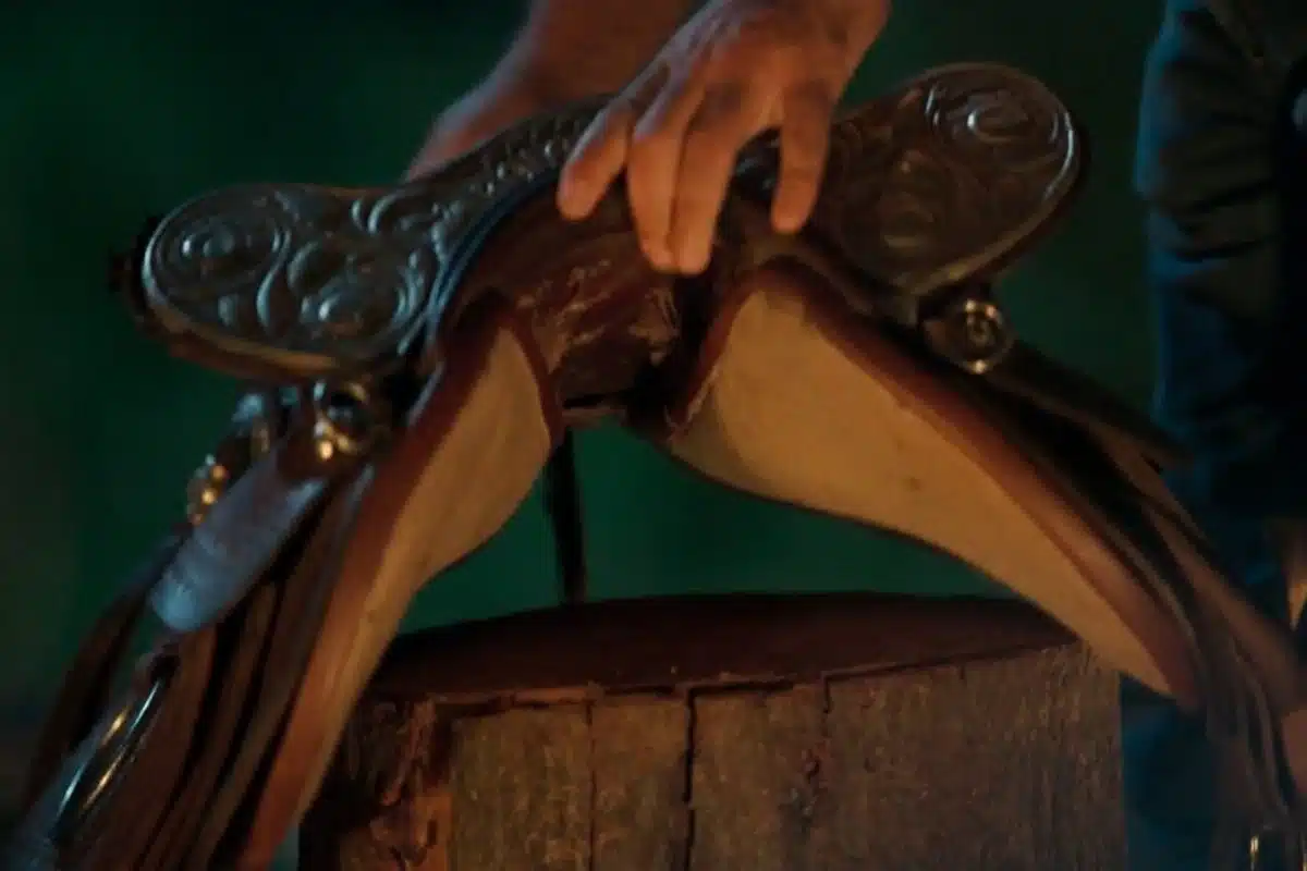 sela de prata pantanal