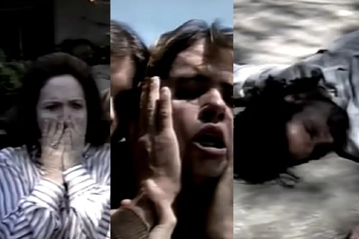 briga de jove e alcides pantanal