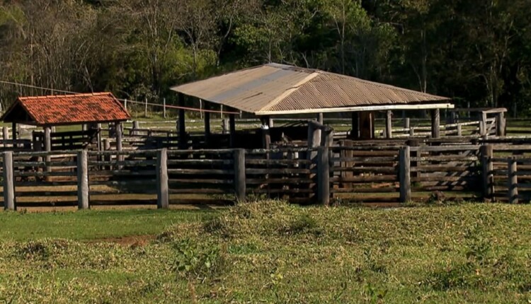 Almir Sater mora no Pantanal? Conheça a fazenda de verdade do artista Maracaju