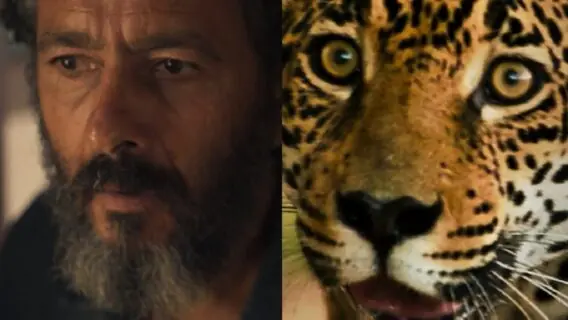 Assista Juma virando onça 2022, a cena que marcou a semana na novela