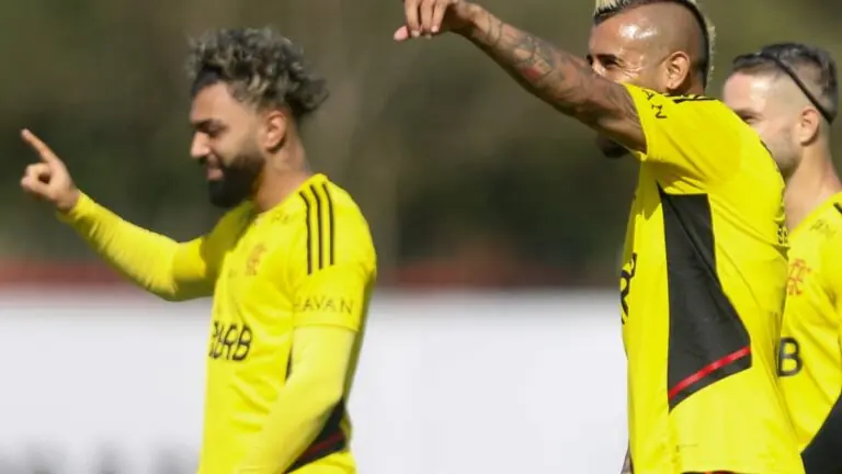 Onde vai passar Flamengo x Avaí hoje ao vivo na TV e horário 24/07