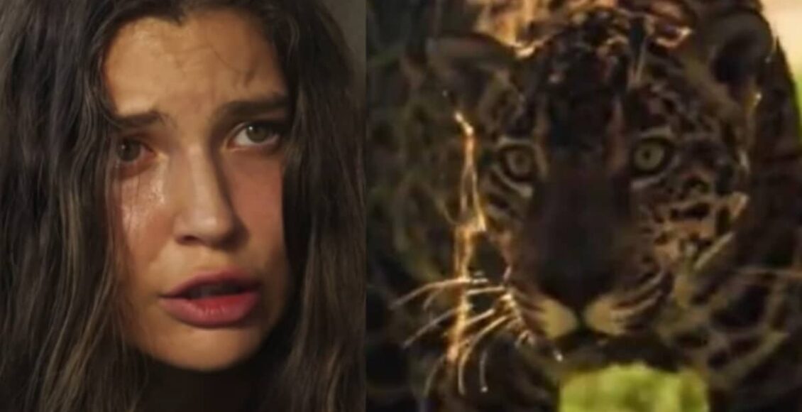 Quando Juma vira onça de novo