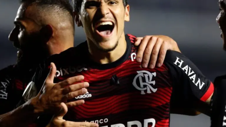 Conheça Pedro, craque do Flamengo e artilheiro da Libertadores 2022