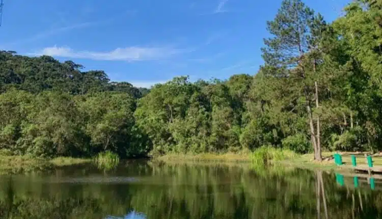 parque da cantareira