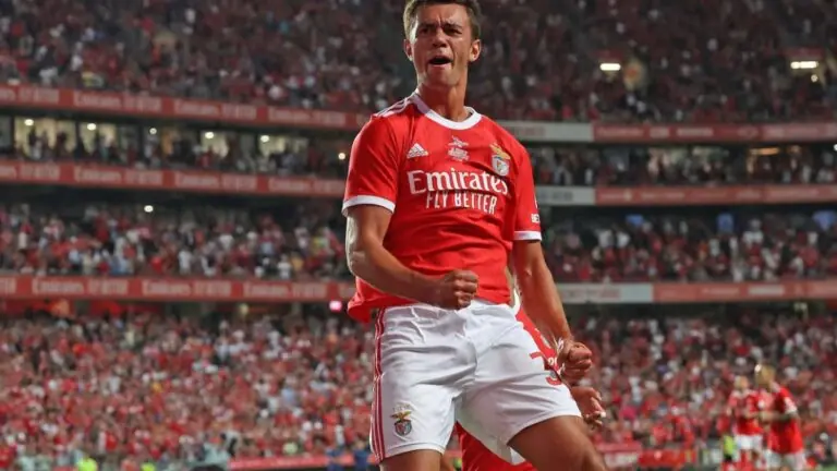 Onde assistir Benfica hoje x Midtjylland: horário da Champions (02/08)