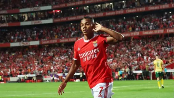 Onde assistir jogo do Benfica hoje x Vizela ao vivo e horário (02/09)