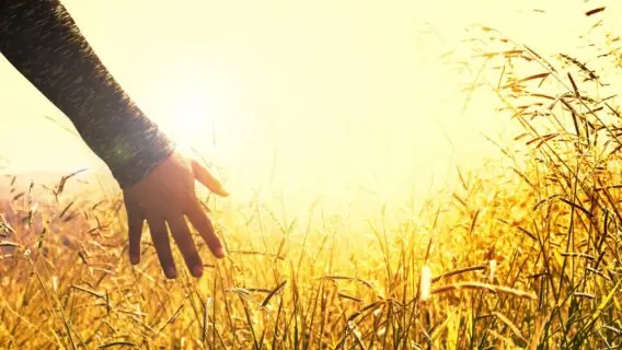 Oração da manhã de hoje para rezar ao acordar, 12 de setembro de 2022