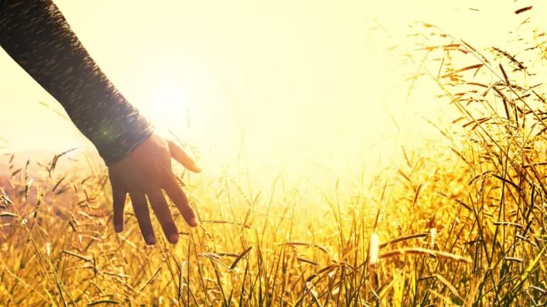 Oração da manhã de hoje para rezar ao acordar, 12 de setembro de 2022