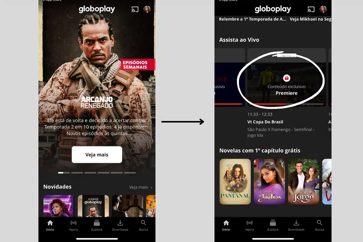 qual canal vai passar o jogo do Palmeiras hoje