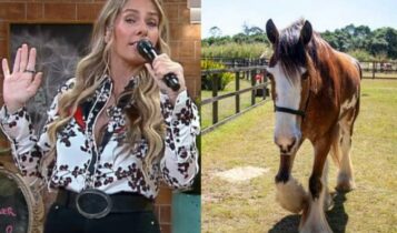 Que dia começa A Fazenda