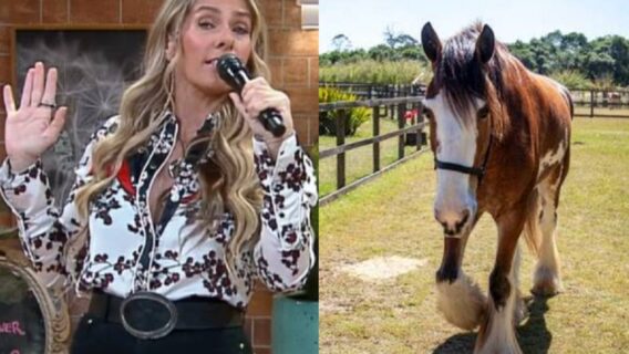 Que dia começa A Fazenda 2022; reality chega a 14ª edição