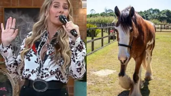 Que dia começa A Fazenda 2022; reality chega a 14ª edição