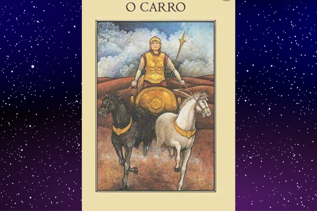 carro é a carta de tarot do dia