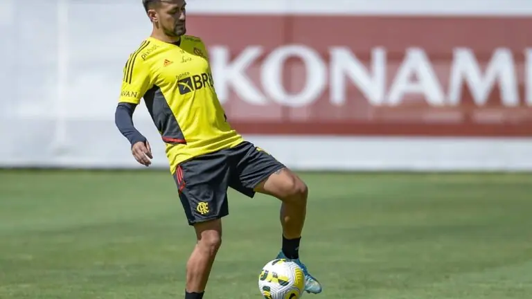 Transmissão jogo do Flamengo hoje ao vivo no Brasileirão (14/08)