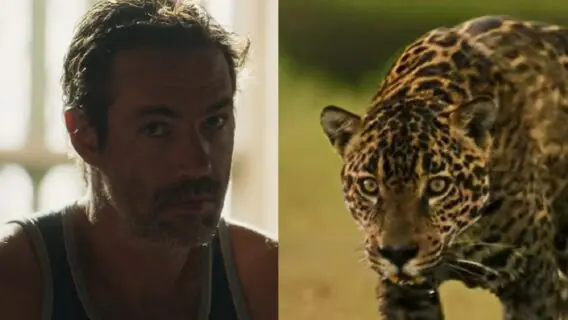 Como Solano morre em Pantanal? Juma vira onça e devora vilão