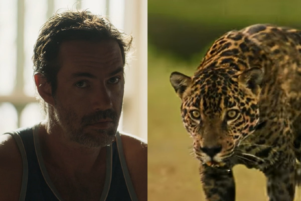 Como Solano morre em Pantanal? Juma vira onça e devora vilão | DCI