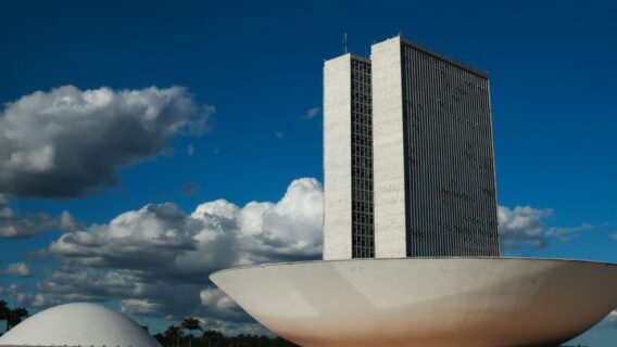 Eleições: qual o salário Deputado Federal 2022 e o que o político faz?