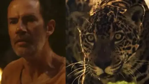 Juma vira onça e mata Solano após ser ameaçada em Pantanal
