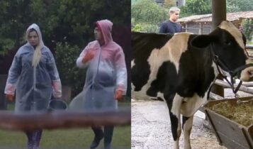 Está tendo maus tratos animais A Fazenda 2022