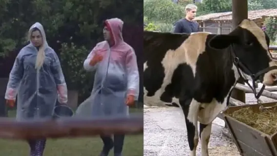 A Fazenda 2022: produção dá bronca  por maus-tratos a animais