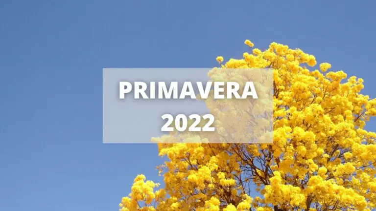 Que horas começa a primavera 2022 e como deve ser a estação