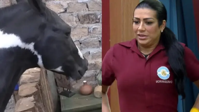 A Fazenda 14: quem está na baia na 2ª semana