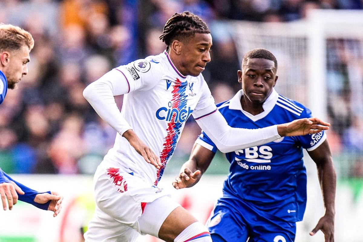 Onde assistir Crystal Palace x Wolves hoje ao vivo na Premier League (18)