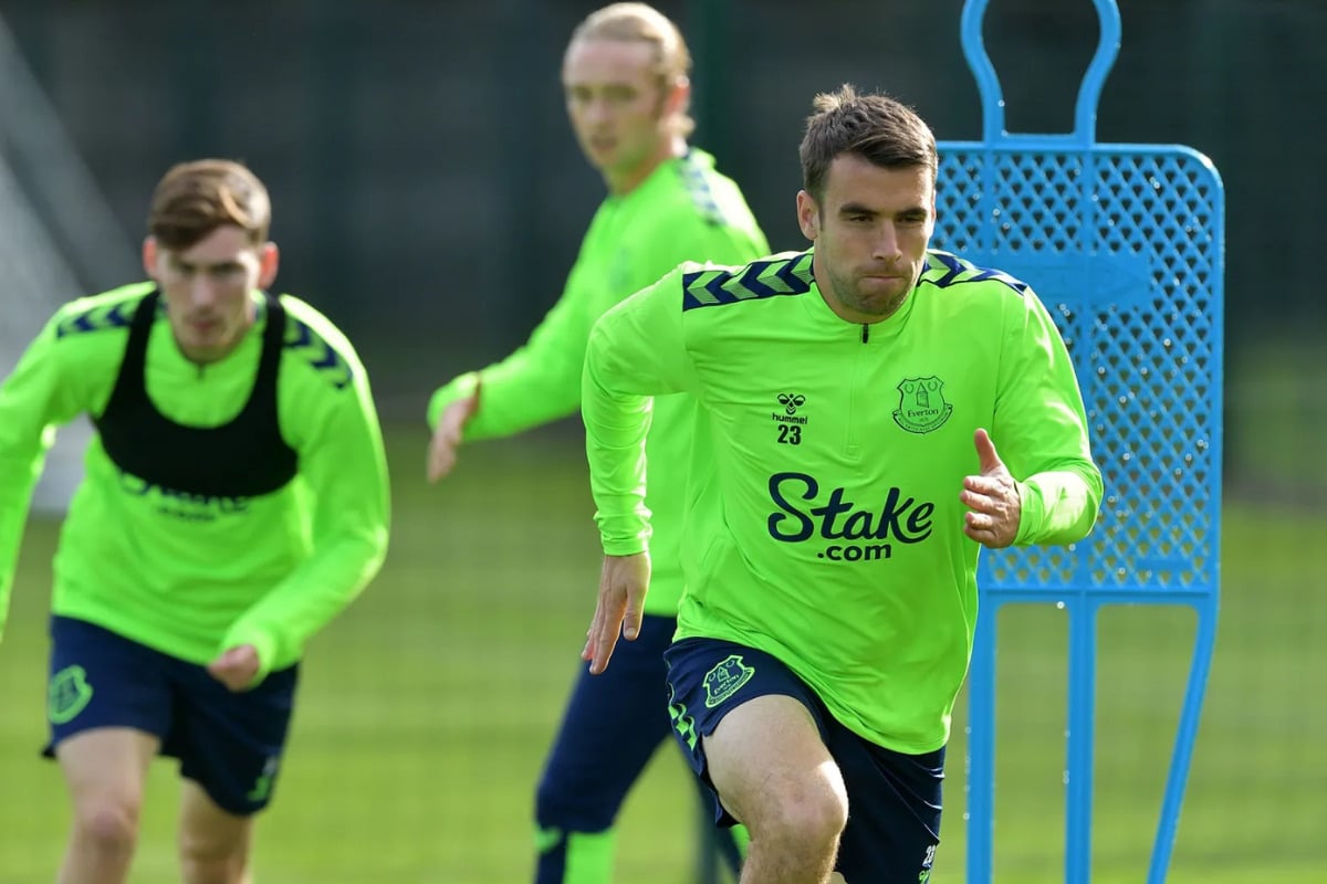 Jogo do Everton hoje x Crystal Palace: onde vai passar ao vivo (22/10)