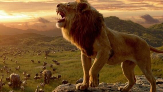 Tela Quente hoje exibe O Rei Leão de 2019, após estreia da novela