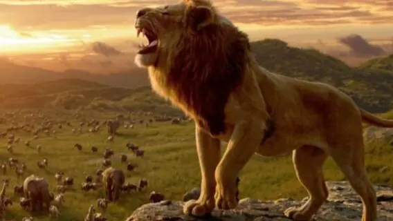 Tela Quente hoje exibe O Rei Leão de 2019, após estreia da novela