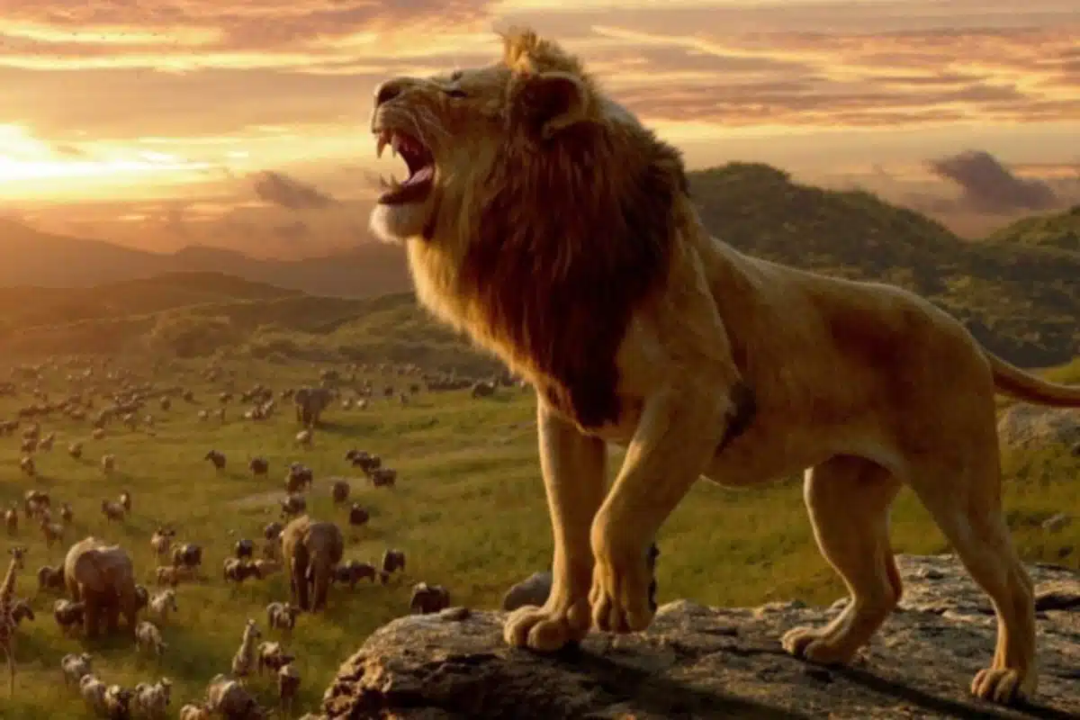 Tela Quente hoje exibe O Rei Leão de 2019 na globo