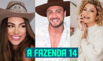 Porcentagem UOL