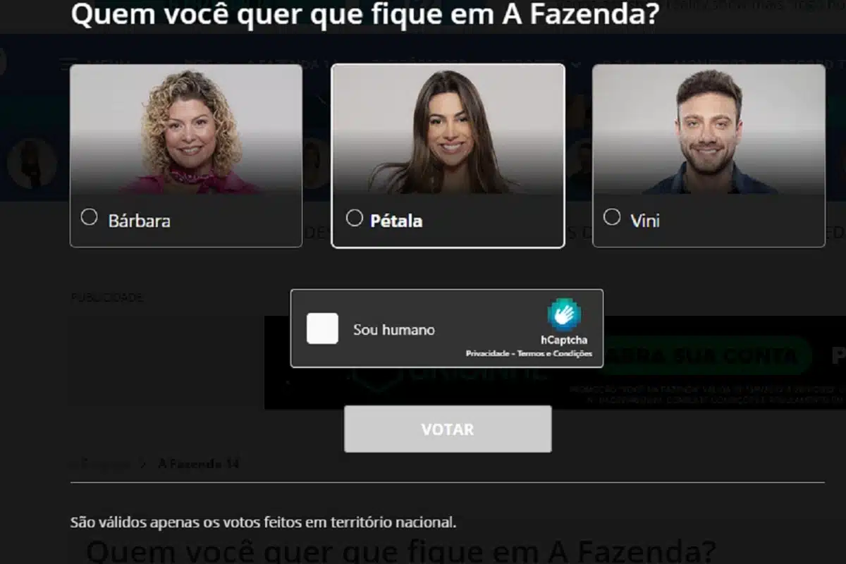 votação