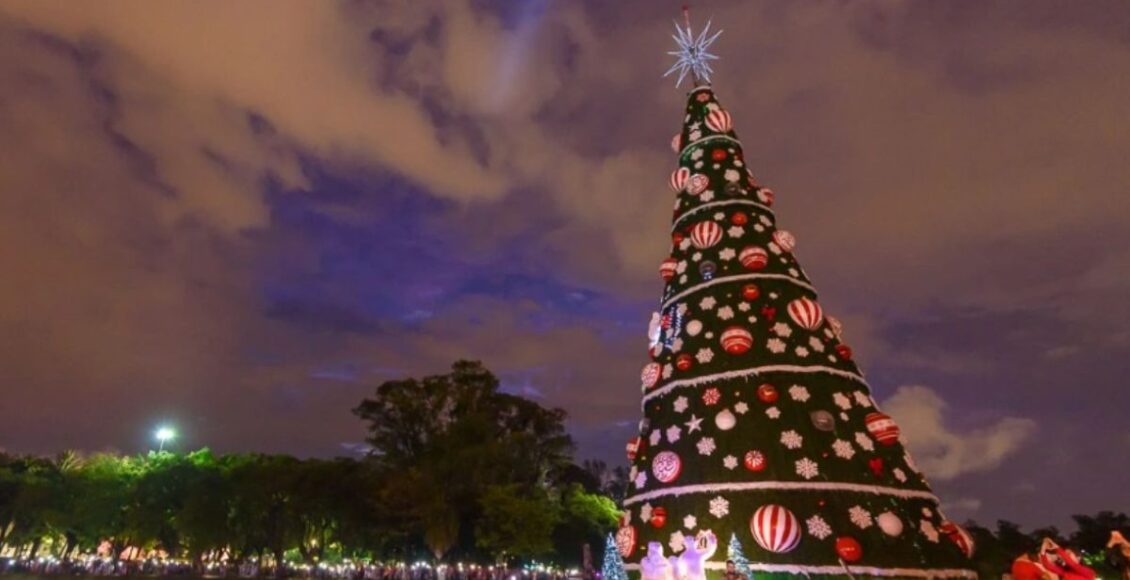 árvore de natal do ibirapuera