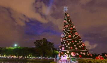 árvore de natal do ibirapuera