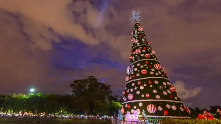 Árvore de Natal do Ibirapuera em 2022 será a maior da história do parque