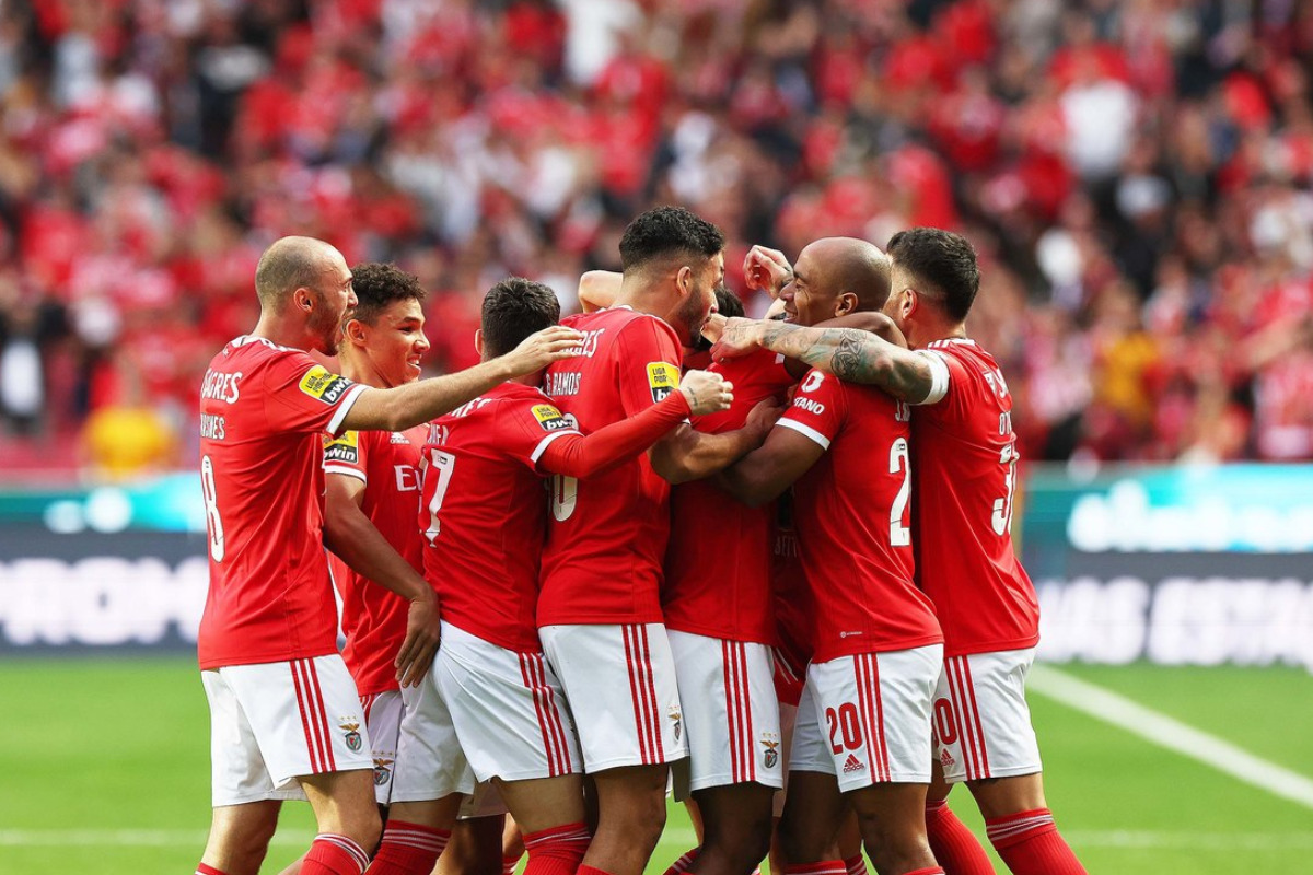 Onde assistir jogo do benfica hoje na champions e hor rio 02 11 22 dci