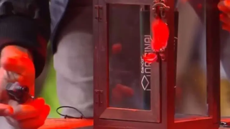 A Fazenda 2022: qual o poder do lampião na 9ª roça?