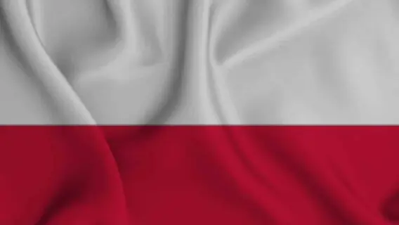 Resultado do jogo do México x Polônia: fase de grupos da Copa do Catar 2022