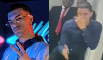 tubarão te amo