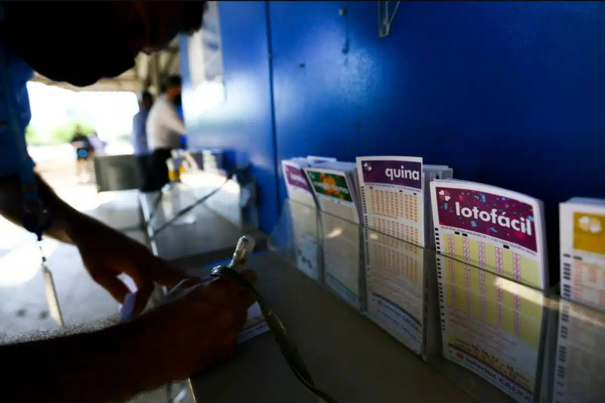 quina de são joão apostas