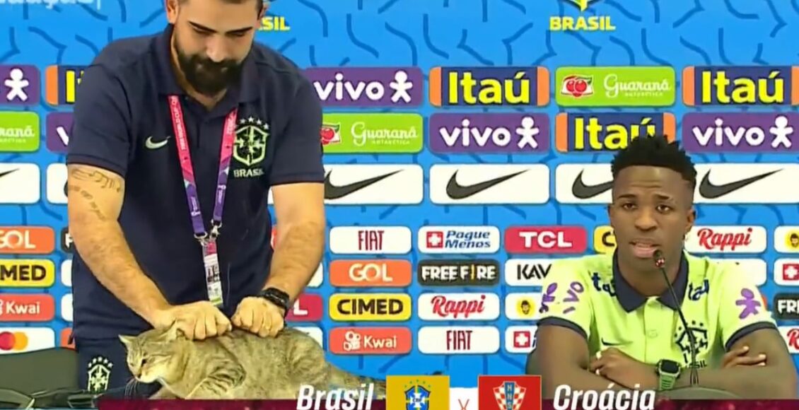 gato invade entrevista de Vini Jr
